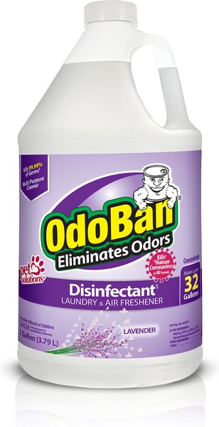 OdoBan Disinfectant Laundry & Air Freshener Concentrate, Lavender Scent, 1-gal bottle slide 1 of 7