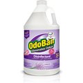 OdoBan Disinfectant Laundry & Air Freshener Concentrate, Lavender Scent, 1-gal bottle