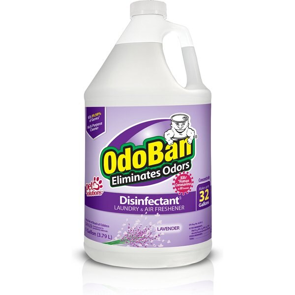 ODOBAN Disinfectant Laundry & Air Freshener Concentrate, Lavender Scent
