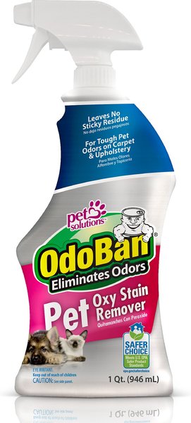 OdoBan Pet Oxy Stain Remover, 32-oz bottle slide 1 of 7