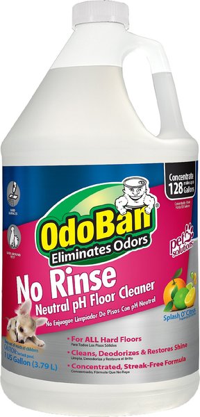 OdoBan No Rinse Neutral pH Floor Cleaner, Citrus Scent, 1-gal bottle slide 1 of 7