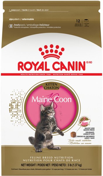 Royal Canin Feline Breed Nutrition Maine Coon Kitten Dry Cat Food, 3-lb bag slide 1 of 8