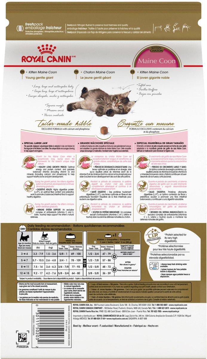 ROYAL CANIN Feline Breed Nutrition Maine Coon Kitten Dry Cat Food, 3lb