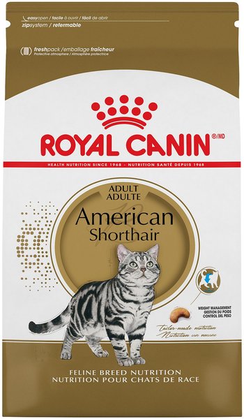 Royal Canin Feline Breed Nutrition American Shorthair Adult Dry Cat Food, 5.5-lb bag slide 1 of 6