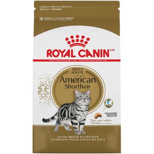 Royal Canin Feline Breed Nutrition American Shorthair Adult Dry Cat Food, 5.5-lb bag