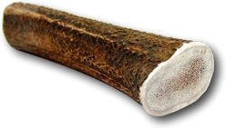 Top Dog Chews X-Large Antler Dog Chew, 1 count