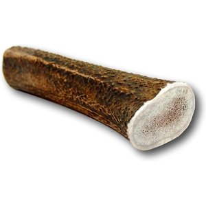 Top Dog Chews X-Large Antler Dog Chew, 1 count