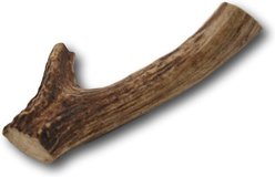 Top Dog Chews Large Antler Dog Treat, 6-9 inch