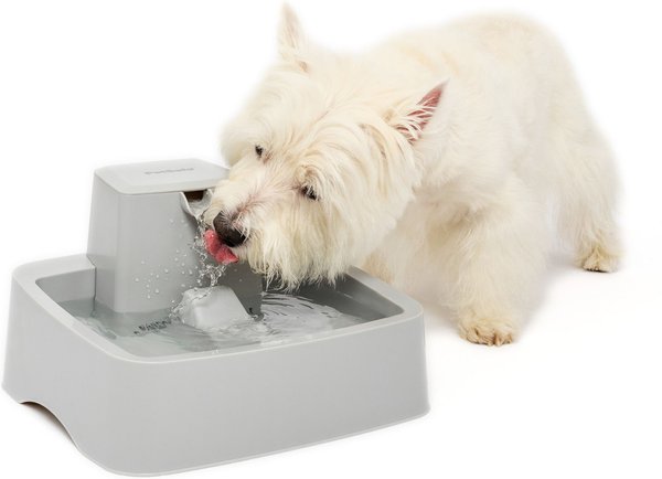 PetSafe Drinkwell Cat & Dog Waterer, 1-gallon slide 1 of 8