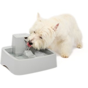 PetSafe Drinkwell Cat & Dog Waterer, 1-gallon
