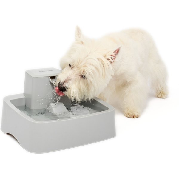 BUETEKA Automatic Cat Water Fountain, White, Medium - Chewy.com