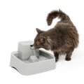 PetSafe Drinkwell Dog & Cat Water Fountain, 1/2-gallon