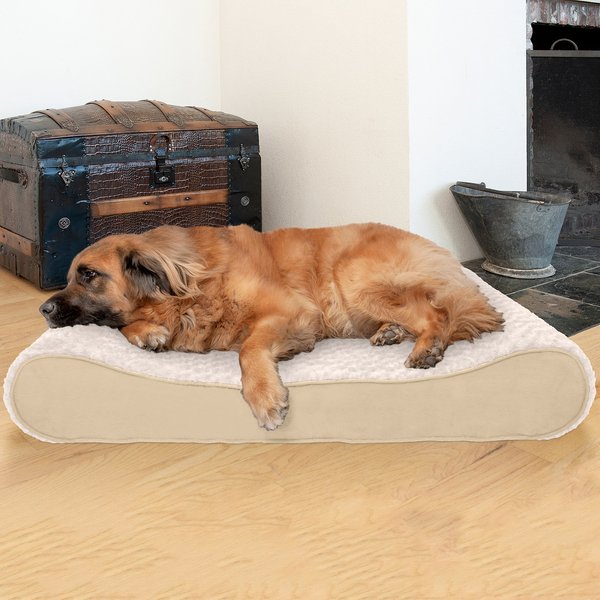 FurHaven Ultra Plush Luxe Lounger Orthopedic Cat & Dog Bed w/Removable Cover, Cream, Jumbo Plus slide 1 of 10
