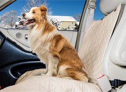 FurHaven Quilted Single Car Seat Cover, Clay