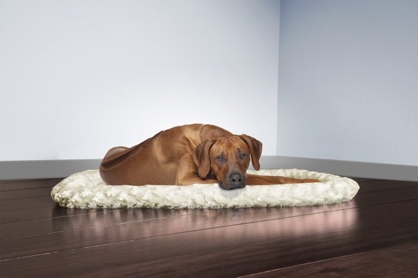 Chewy extra clearance large dog bed