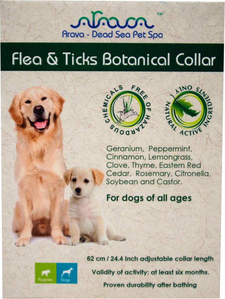 Out of Stock ARAVA DEAD SEA PET SPA Flea Tick Collar for Dogs 1 Collar 6 mos. supply Chewy