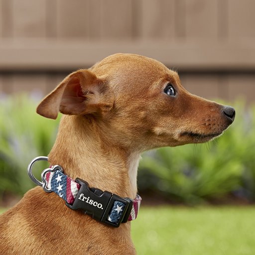 Frisco American Flag Polyester Dog Collar, X-Small: 8 to 12-in neck, 5/8-in wide