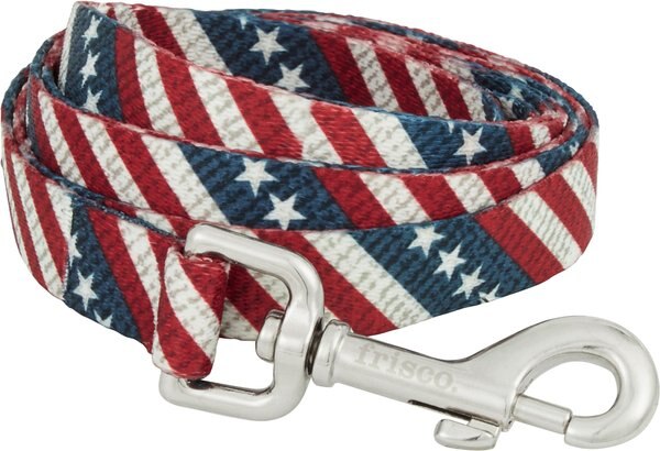 Frisco American Flag Polyester Dog Leash, Medium: 6-ft long, 3/4-in wide slide 1 of 6