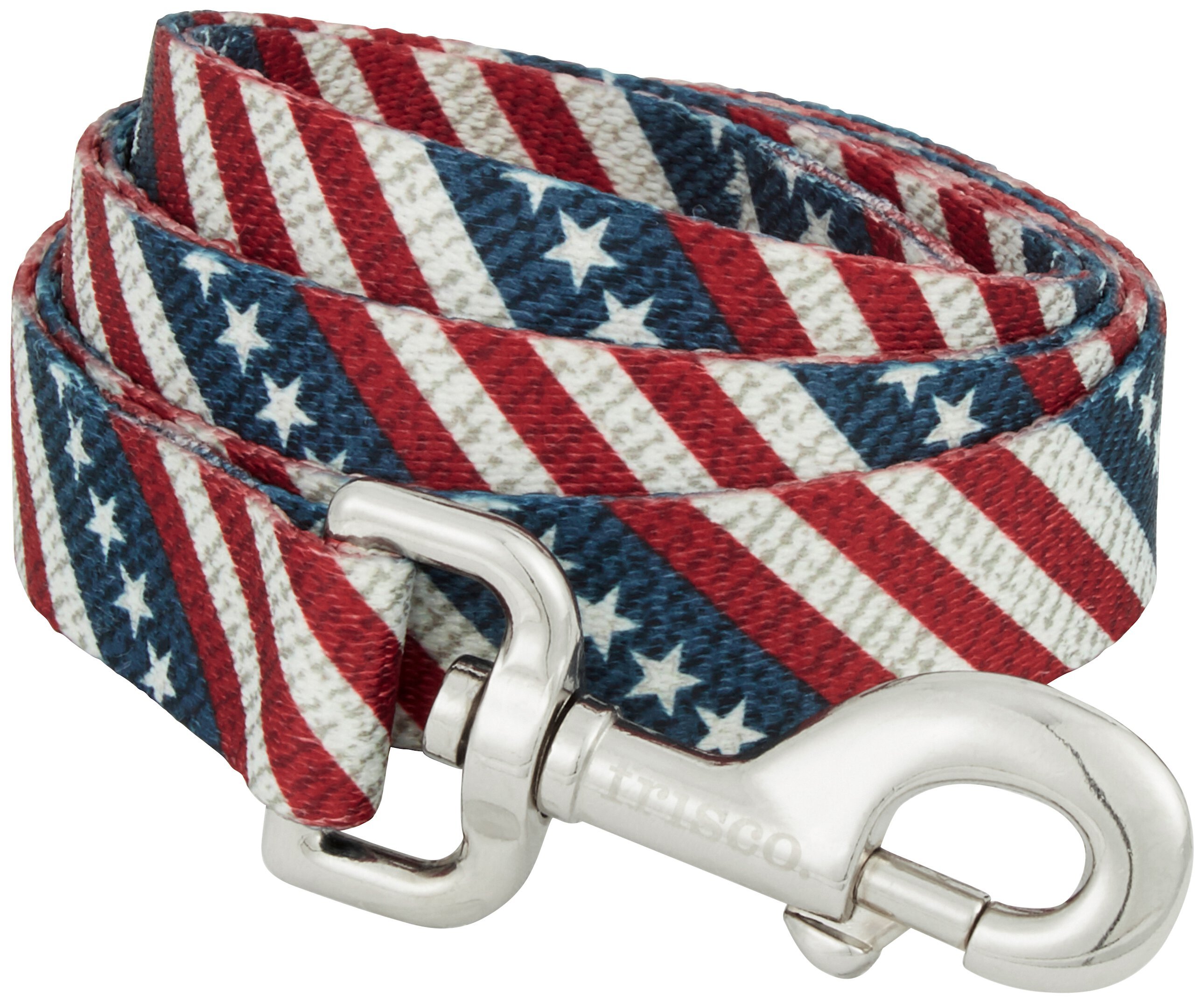 FRISCO American Flag Polyester Dog Leash - Chewy.com