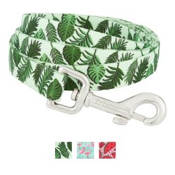 Frisco Fashion Polyester Dog Leash, Tropical Palm, Small: 6-ft long, 5/8-in wide