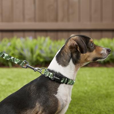 Show full view: Frisco Fashion Polyester Dog Leash, Tropical Palm, Small: 6-ft long, 5/8-in wide slide 3 of 6