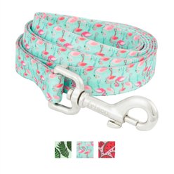 Frisco Fashion Polyester Dog Leash, Flamingo Gardens, Medium: 6-ft long, 3/4-in wide