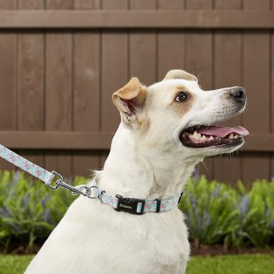 Show full view: Frisco Fashion Polyester Dog Leash, Flamingo Gardens, Medium: 6-ft long, 3/4-in wide slide 2 of 5