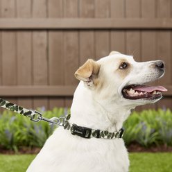 Frisco Fashion Polyester Dog Leash, Tropical Palm, Medium: 6-ft long, 3/4-in wide slide 2 of 3