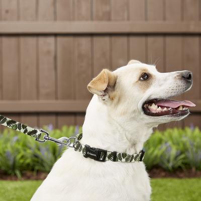 Show full view: Frisco Fashion Polyester Dog Leash, Tropical Palm, Medium: 6-ft long, 3/4-in wide slide 2 of 5