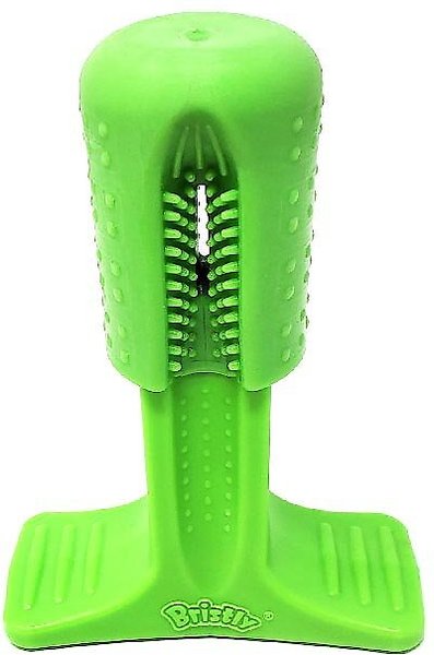 Bristly by Empawer Brushing Stick Tough Dog Chew Toy, Small slide 1 of 9