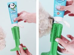 Bristly by Empawer Pre-Biotic Enzymatic Dog Toothpaste, 4-oz tube slide 2 of 7