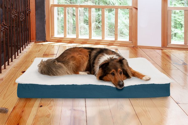 Chewy memory clearance foam dog bed