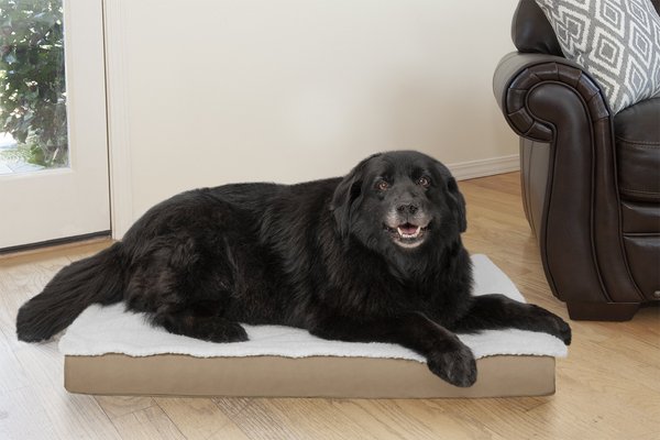 Chewy outdoor dog clearance bed