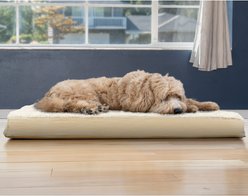 FurHaven Ultra Plush Deluxe Cooling Gel Pillow Dog Bed with Removable Cover, Cream, Large