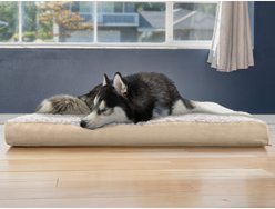FurHaven Ultra Plush Deluxe Cooling Gel Pillow Dog Bed with Removable Cover, Cream, Jumbo