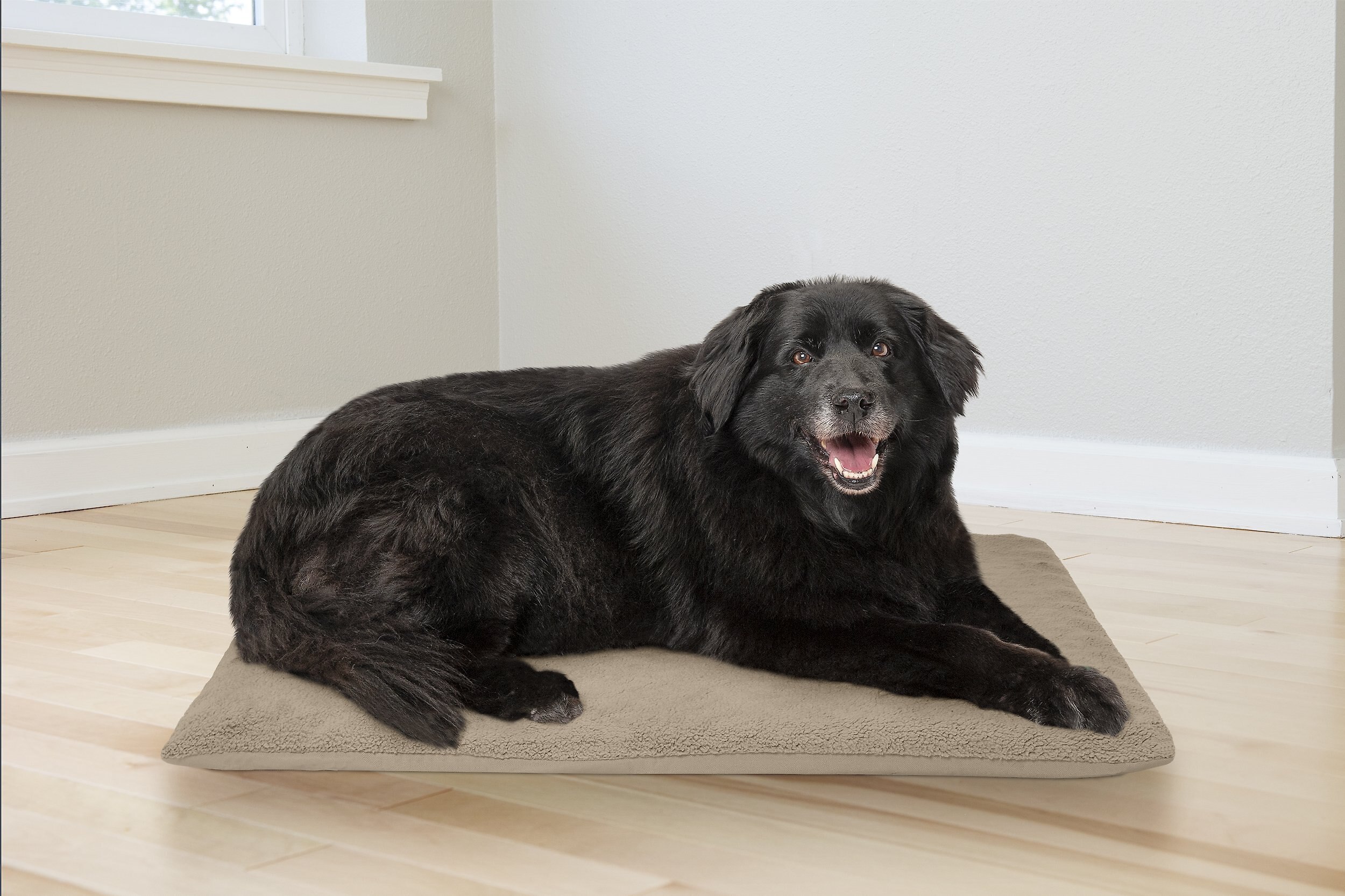 FURHAVEN Terry Top Orthopedic Dog Crate Mat Customer Questions