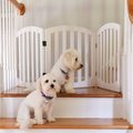 Arf Pets Free-Standing Wood Dog & Cat Gate, White