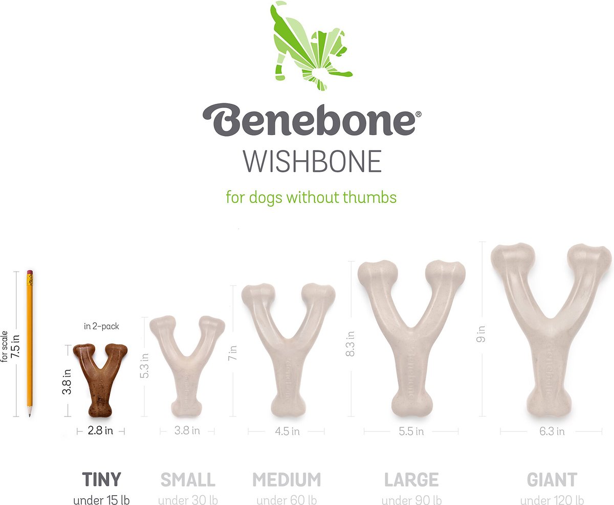 Benebone chewy outlet