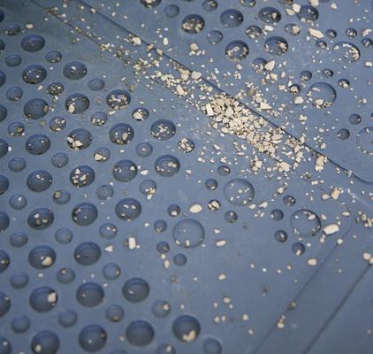 Show full view: Petlinks Purrfect Paws Cat Litter Mat, Blue, Large slide 4 of 11