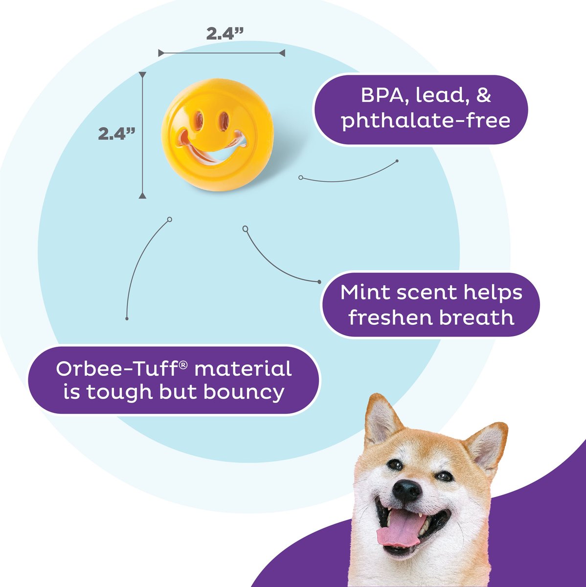 Planet Dog Orbee-Tuff Mint Dog Toy