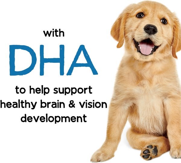 Show full view: Purina Beneful Healthy Puppy with Farm Raised Chicken High Protein Dry Dog Food, 14-lb bag slide 6 of 11