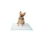 Frisco Dog Training & Potty Pads, 22 x 23-in, Unscented, 300 count