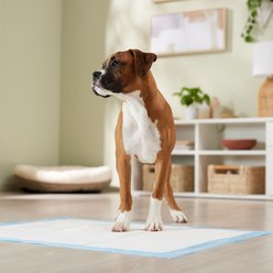 Frisco Extra Large Dog Training & Potty Pads, 28 x 34-in, Unscented, 150 count