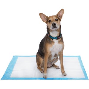 Frisco Extra Large Dog Training & Potty Pads, 28 x 34-in, Unscented, 150 count