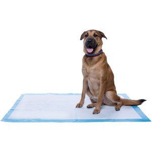 Frisco Giant Dog Training & Potty Pads, 27.5 x 44-in, Unscented, 100 count
