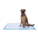 Frisco Giant Dog Training & Potty Pads, 27.5 x 44-in, Unscented, 100 count