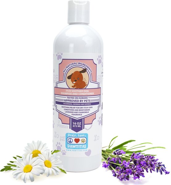 Pawtitas Organic Lavender & Chamomile Oatmeal Dog Shampoo & Conditioner, 16-oz bottle slide 1 of 3