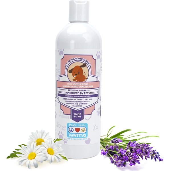 CHI Gentle 2 in1 Dog Shampoo & Conditioner, 16 oz bottle
