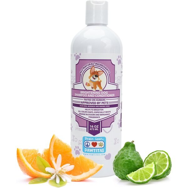 EARTHBATH Dirty Dog Sweet Orange Oil Dog Shampoo, 16oz bottle