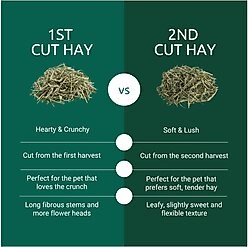 Kaytee First Cut Timothy Hay Small Animal Food, 6.5-lb bag slide 2 of 9